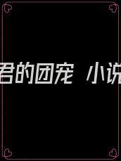 暴君的团宠 小说